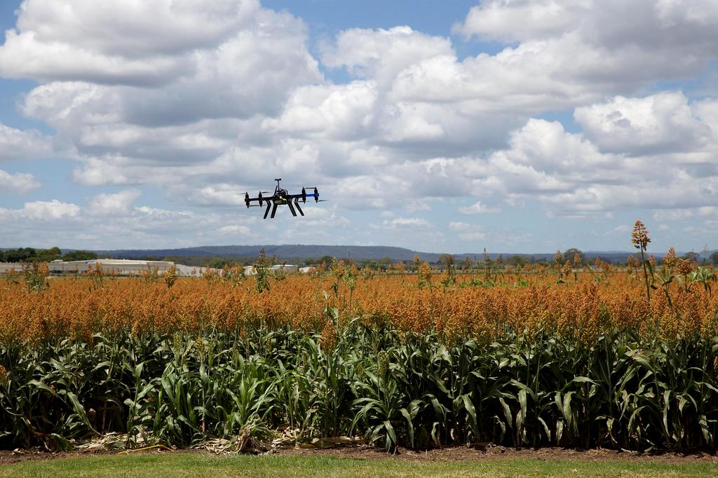 Drone scanning crop health with multispectral sensors