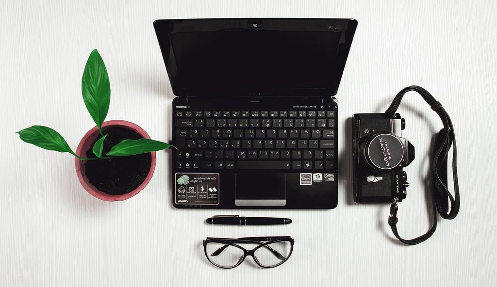 Eco-friendly workspace with plants and modern desk